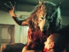Dog Soldiers