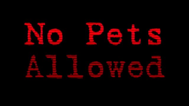No Pets Allowed 017