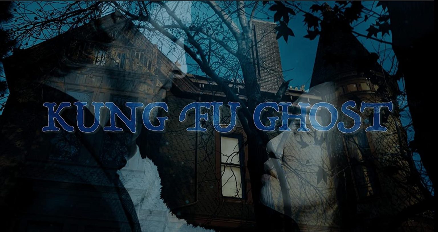 KUNG FU GHOST: A Martial Arts Comedy/Mystery from Jennifer Linch